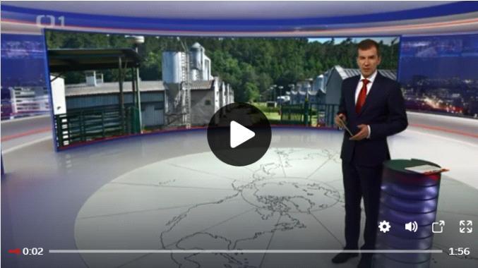 Ty se v několika reportážích opakují a potvrzují tak standardní zpravodajský narativ, který nijak