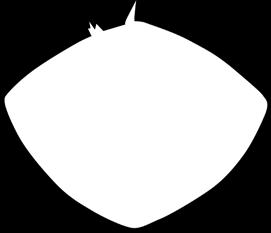vanilkový 200 g Pribináček
