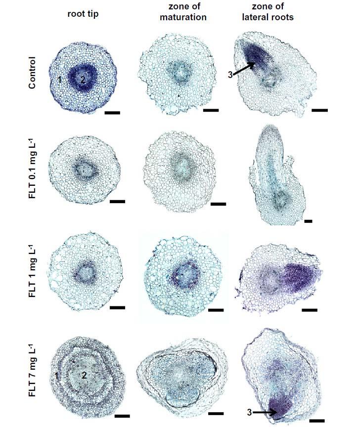 Fig. 5.