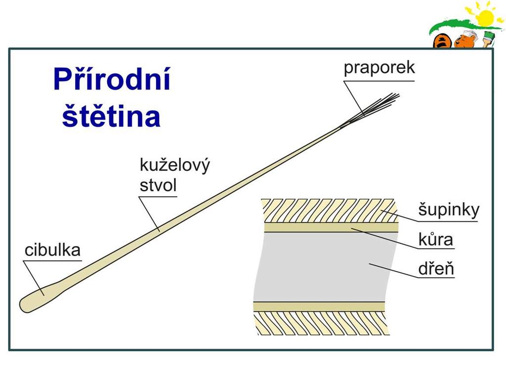 Standardně je většina plochých štětců osazena vlákny z čisté přírodní štětiny. Vlákna z přírodní štětiny mají vynikající předpoklady pro absorpci a následné roztírání nátěrové hmoty.