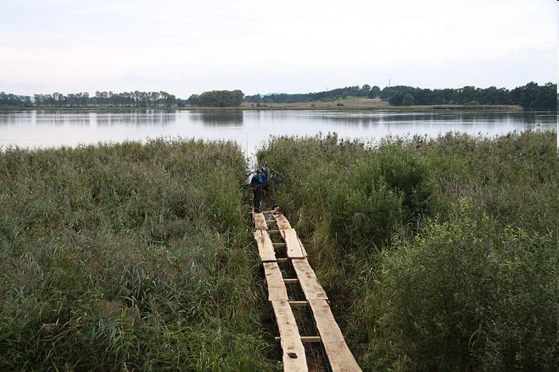 http://cs.wikipedia.org a foto původem z rybníka Řežabince v jižních Čechách).