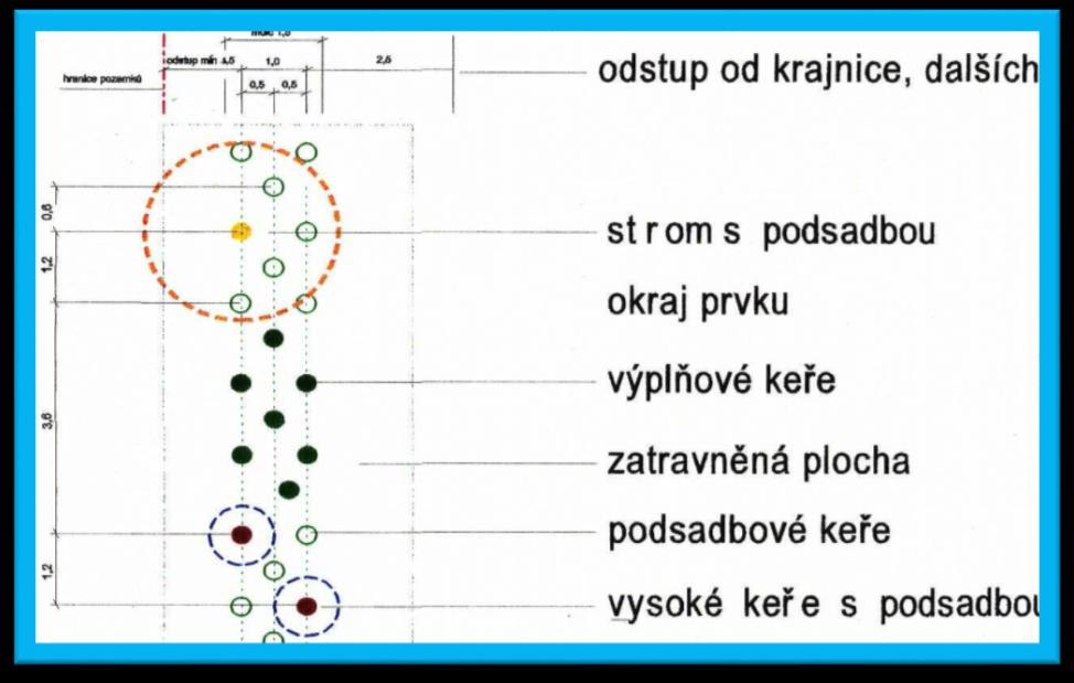 Terénní úpravy plochy nové výsadby byly provedeny tak, aby nasměrovaly povrchový