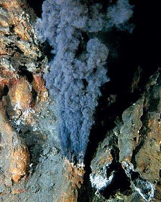 z místa hydrotermálního vývěru (hydrothermal vent) stoupají