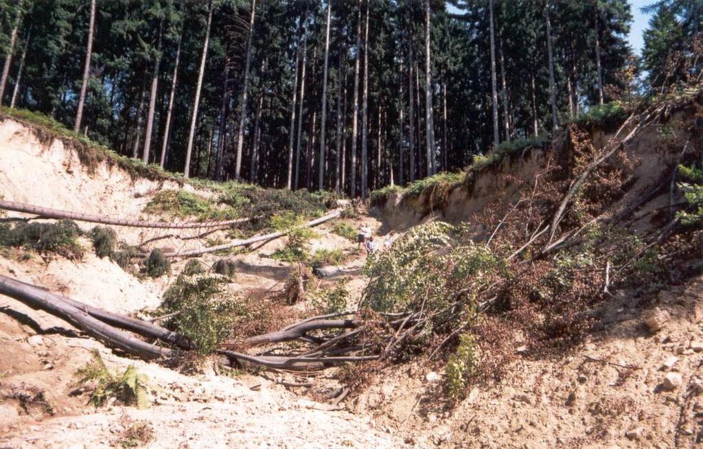 Rovněž výsledky polských specialistů (Mrozek, Rackowski, Limanowka 2000) z polských flyšových Karpat potvrzují hlavní roli meteorologických podmínek na urychlení nebo vzniku (triggering factor)
