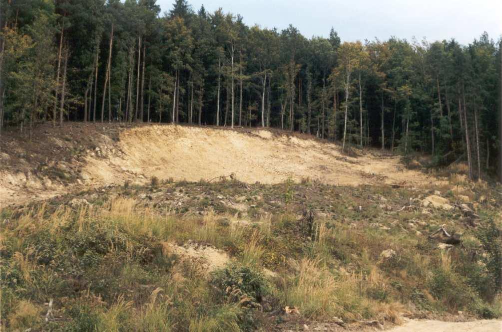éfu. Pozornost byla věnována lokalitám v Hostýnsko-vsetínské hornatině (Mts.