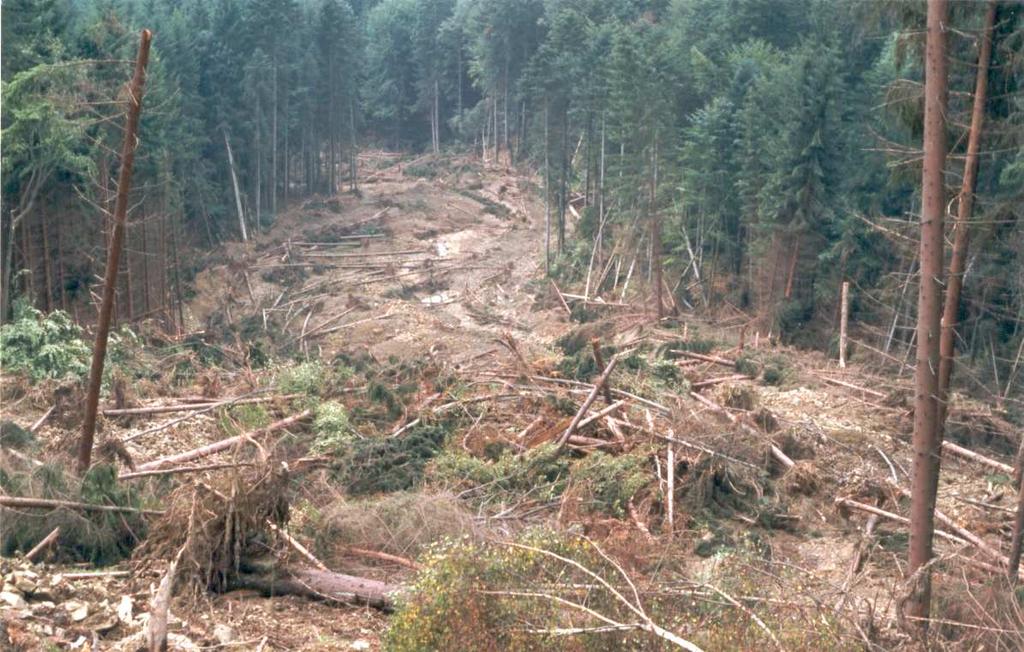 Značnou pozornost jsme při výzkumu svahových deformací v modelové oblasti Vsetínsko věnovali jejich vazbě na využití krajiny.