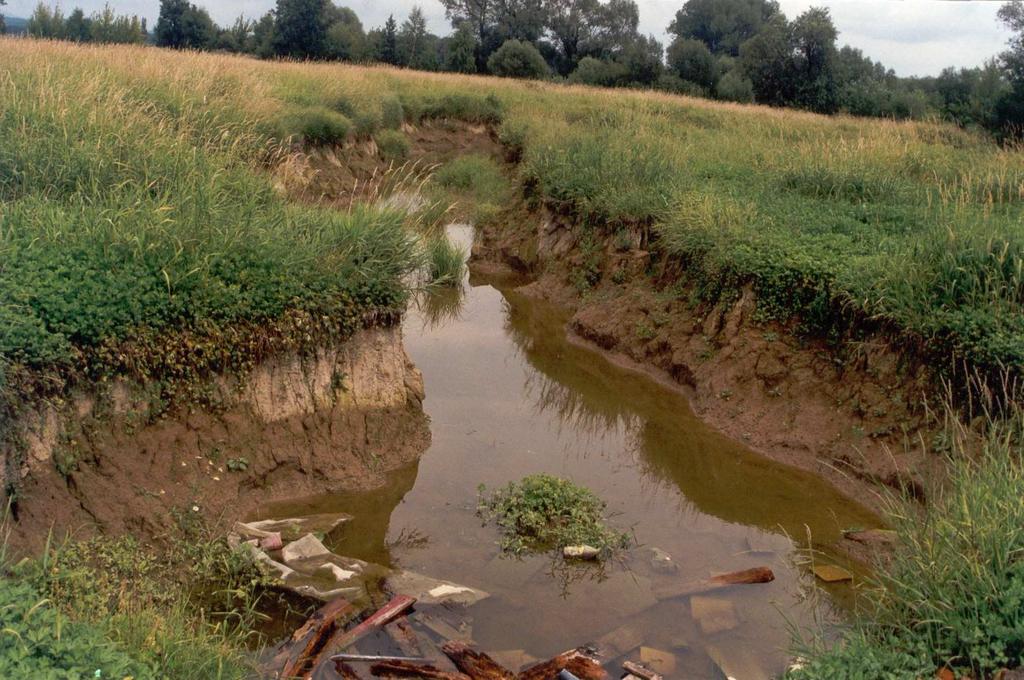 Monitoring říčních koryt a údolních niv po povodni Okamžitě po povodni i v letech následujících se projevila tendence k co nejrychlejší nápravě škod a k obnovení stavu údolí jaký byl před povodní.