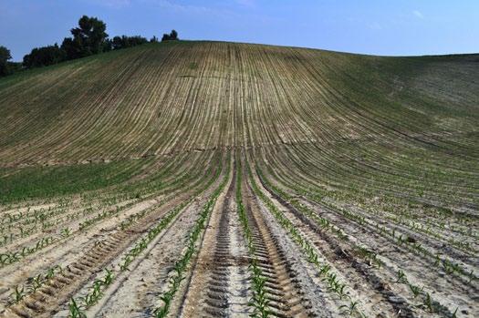 nejpostiženějších. Zhruba před deseti lety vznikl i jejím přičiněním projekt Vlastníci jako klíč k rekonstrukci krajiny.