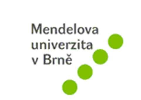 Bakalářská práce Vedoucí práce: Ing.