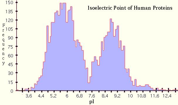 Izoelektrický bod bílkovin Proteiny mají nejnižší rozpustnost v oblasti ph kolem