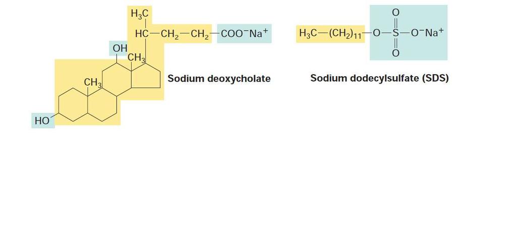 Detergenty Ionogenní (SDS, CHAPS,deoxycholate )