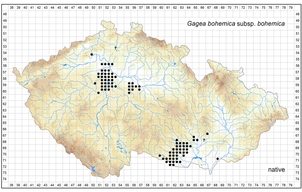 Distribution of Gagea bohemica subsp.