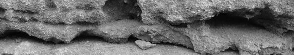 krystalizací rozpustných solí na povrchu a pod povrchovou zónou kamene.