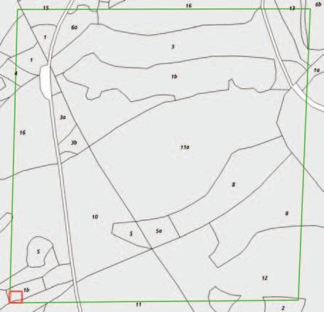 Obr. 1: Porovnání prostorového rozlišení senzoru MODIS (zelený čtverec) a Sentinel-2 (červený čtverec) v kontextu lesního hospodářského plánu.