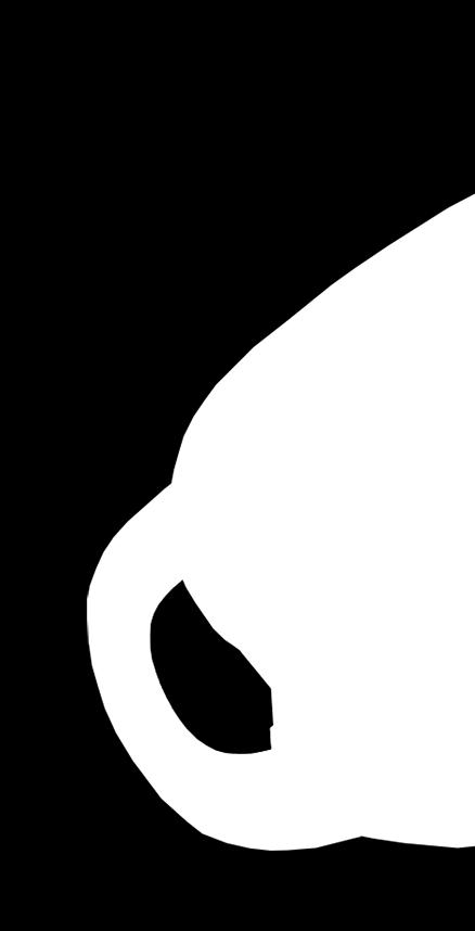 C13 A5 3