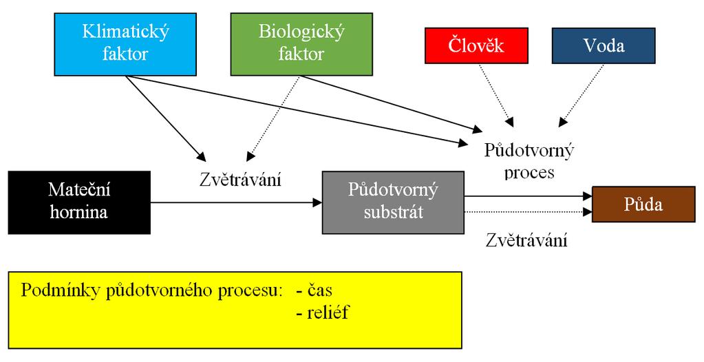 půdotvorného procesu. Vzájemné působení půdotvorných činitelů je uvedeno na Obr. 1.