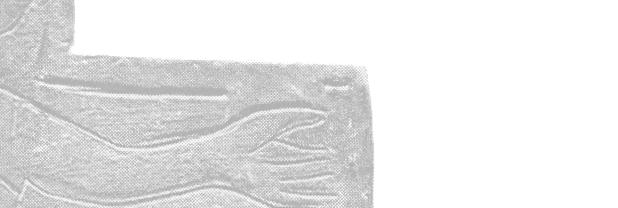 První povídání v šestidílném seriálu o Slováckém muzeu otevřeme s Tomášem Chrástkem, vedoucím archeologického oddělení Slováckého muzea.