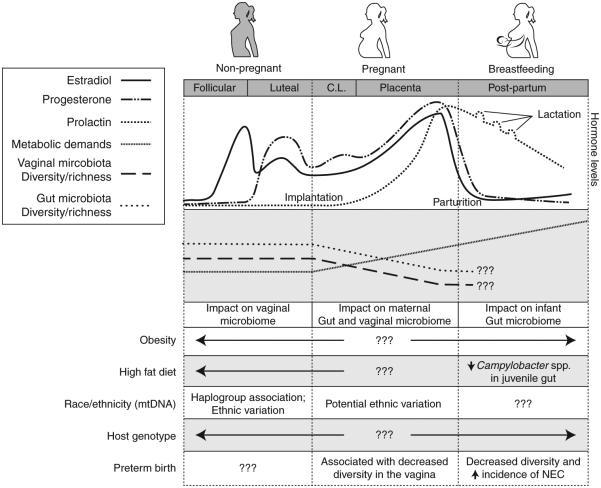 Metabolické, hormonální, imunologické změny v graviditě podmiňují změny mikrobiomu spojené s