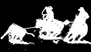 !! Akce Rodeo Corralu: Termíny rodeí 2016 Kontakt info: Sheriff Martina Hampejsová, tel.: 723416254, mail: martina.hampejsova@email.
