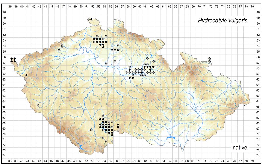Distribution of Hydrocotyle vulgaris in the Czech Republic Author of the map: Jan Prančl Map produced on: 08-08-2017 Database records used for producing the distribution map of Hydrocotyle vulgaris