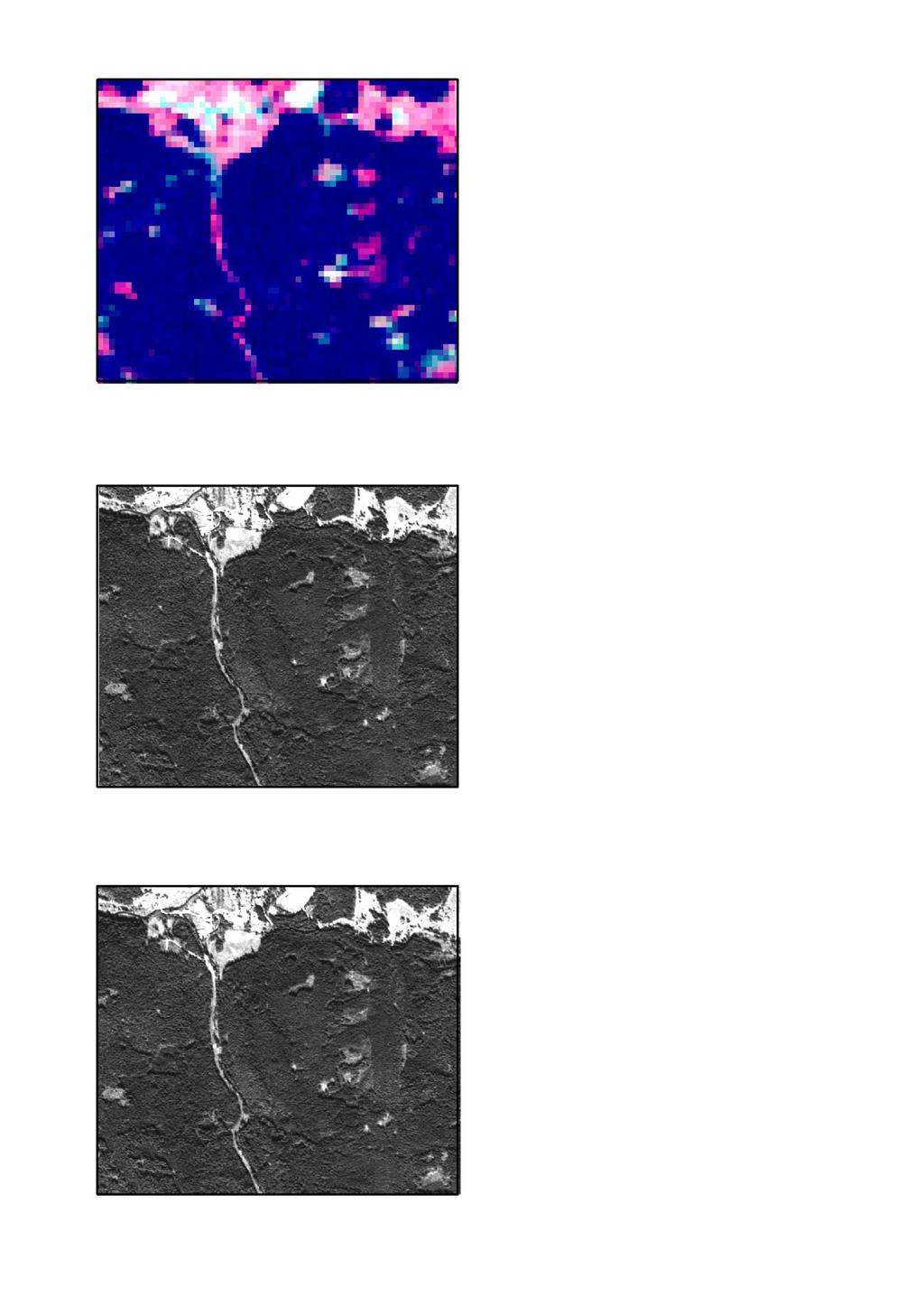 Příloha 18 Porovnání snímků Landsat, Spot a Worldview na výřezu z NP Šumava Landsat 5 (9.