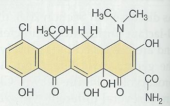 Produkční schéma na výrobu chlortetracyklinu Inokulum (spóry) Růstové médium: 2% kukuřičný výluh, 0,5% asparagin, 1% glukóza, 0,5% K 2 HPO 4, 1,5% agar agarové misky spóry jako inokulum třepaná