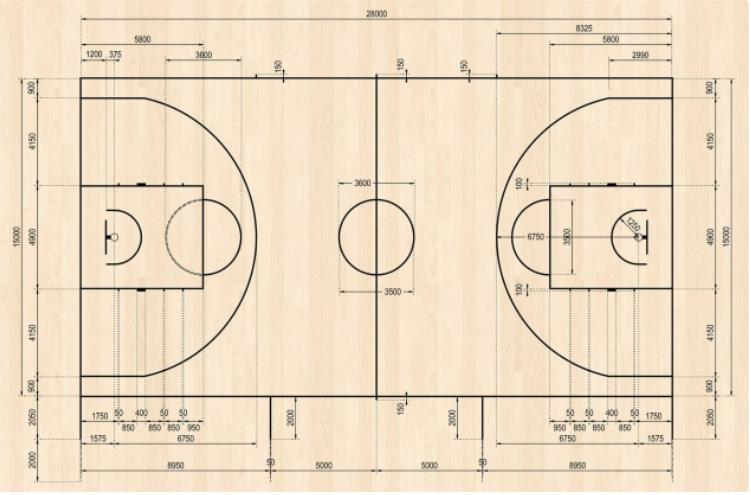Obrázek 1 Základní rozměry hřiště Zdroj: ČBF:Oficiální výklad pravidel FIBA. ČBF.cz [online]. Praha, 2010. Hráčské pozice tvoří 3 základní pozice: rozehrávač, křídelní hráč, pivotman.