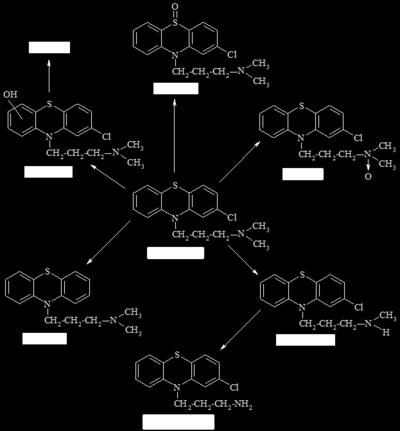 4 Biotransformace chlorpromazinu, převzato z Balíková 20