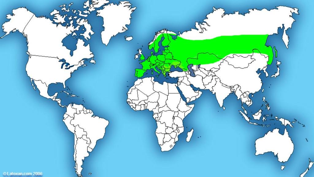 (červeně) a západo-balkánských pohoří (modře), možná dokonce