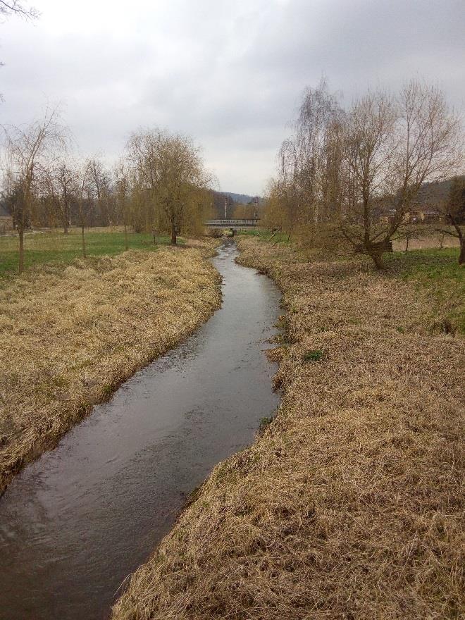 Nejčastěji jsou zaplaveny sklepy, několik domů, a ČS kanalizace.