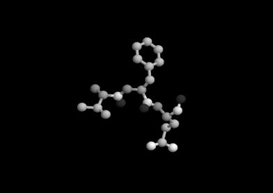 Struktura proteinů Monte Carlo pohyby polypeptidových řetězců Změna konformace - rotace kolem náhodně vybrané vazby. Z řady náhodných pohybů jsou jen některé považovány za výhodné.