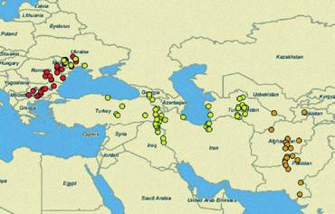 Z důvodu dosažení co nejmenší hmotnosti geolokátorů byla výdrž baterie omezena pouze na 10 měsíců a proto, bohužel, nemáme k dispozici data o zpáteční cestě na hnízdiště.