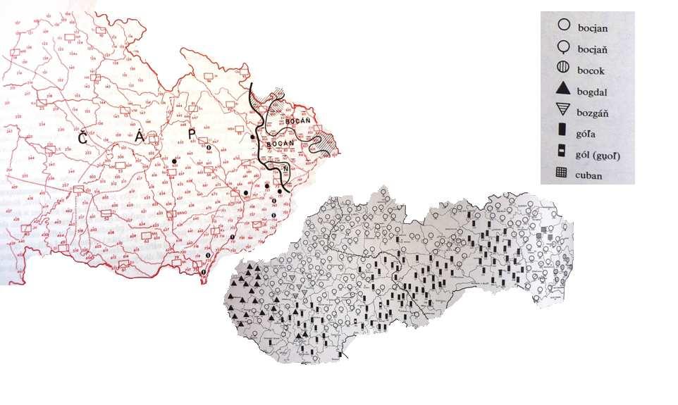 Též atlas OLA zachytává lexém bocian vyskytující se na celém slovenském území a jihovýchodní východní Moravě,
