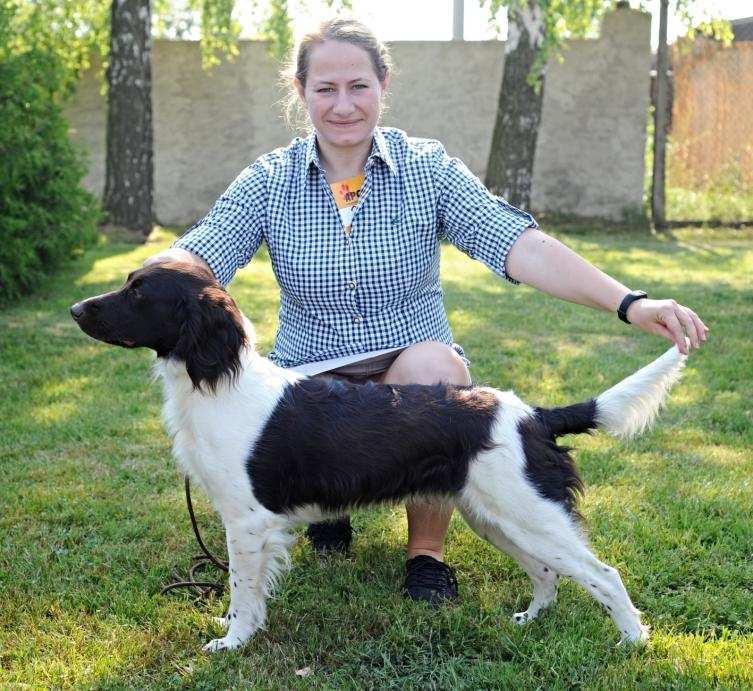 dobrý h betní linie, korektn nasazená ohá ka, dobré za hlení p edních i zadních končetin, p átelská povaha