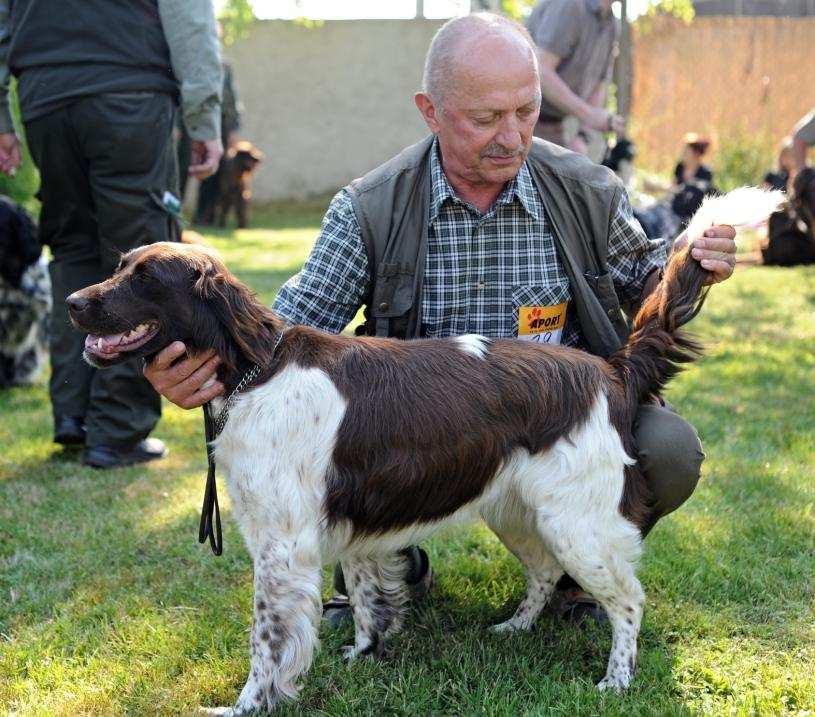 FENY - T ÍDA OTEV ENÁ 30 AIDA OD MALECHOVICKÉ ZVONIČKY NENASTOUPILA 4.