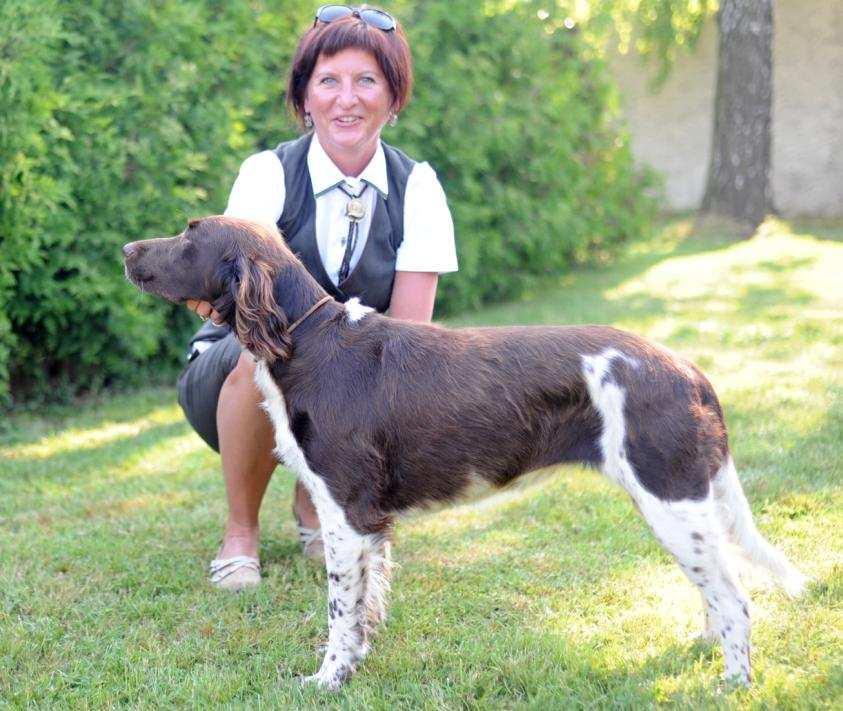 FENY - T ÍDA VETERÁN 39 CIPRA ČERNÁ H RKA VD2 19.5.