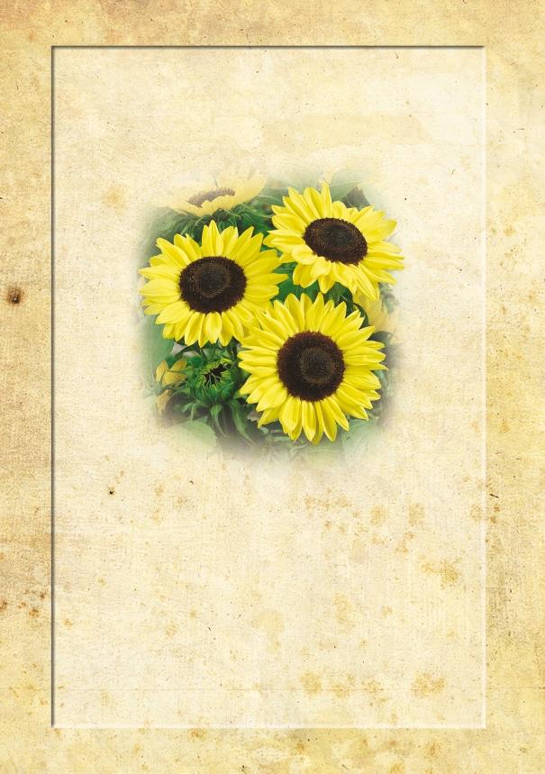 Katalog osiv Katalóg osív Do rukou se vám dostává nový katalog osiv pod značkou Nostalgie.