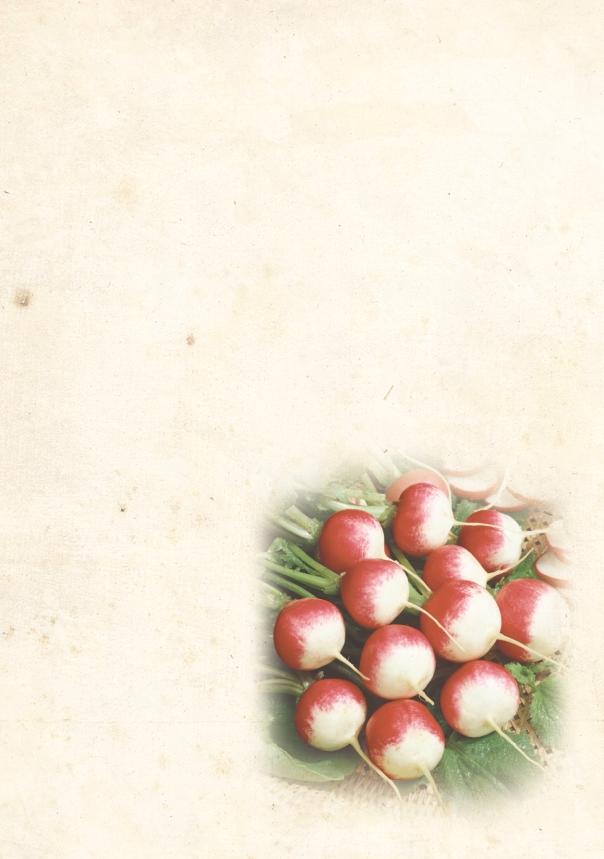 Zelenina Zelenina 185oo âervená kulatá 05oo Renova 1 oo 1 05oo Safír 1 oo Král máje I. Řepa salátová Beta vulgaris L.