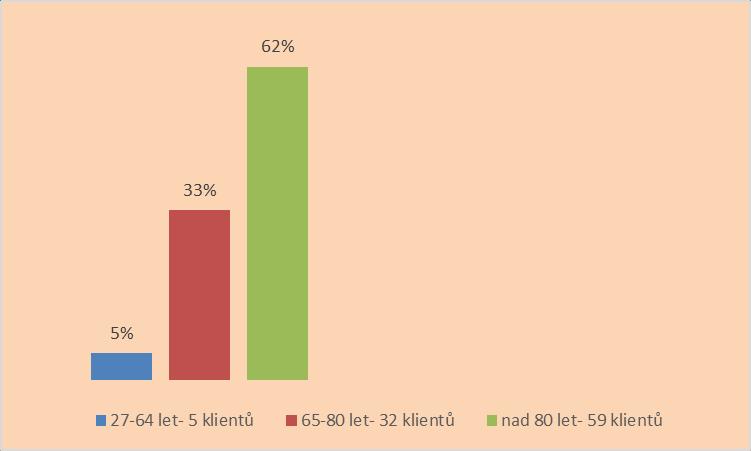 Počet klientů za sledovaný rok Průměrný počet klientů za měsíc Počet nových