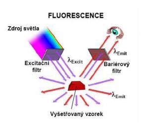 u klasického světelného mikroskopu. Součástí mikroskopu je tzv. zástinový kondenzor, který odráží světlo tak, že dopadá na preparát z boku, a excitační světlo tak prochází mimo objektiv.