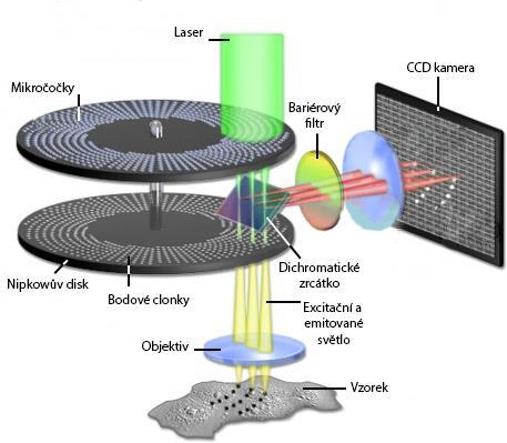 http://zeisscampus.magnet.fsu.edu/articles/spinningdisk/introduction.