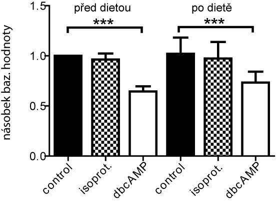 A. B. Graf 3: Efekt diety na sekreci MCP1 u skupiny 23 žen v bazálních podmínkách (control) a stimulací lipolýzy (3 hod.) přidáním 1 µm isoproterenolu a 100 µm dibutyrylu camp.