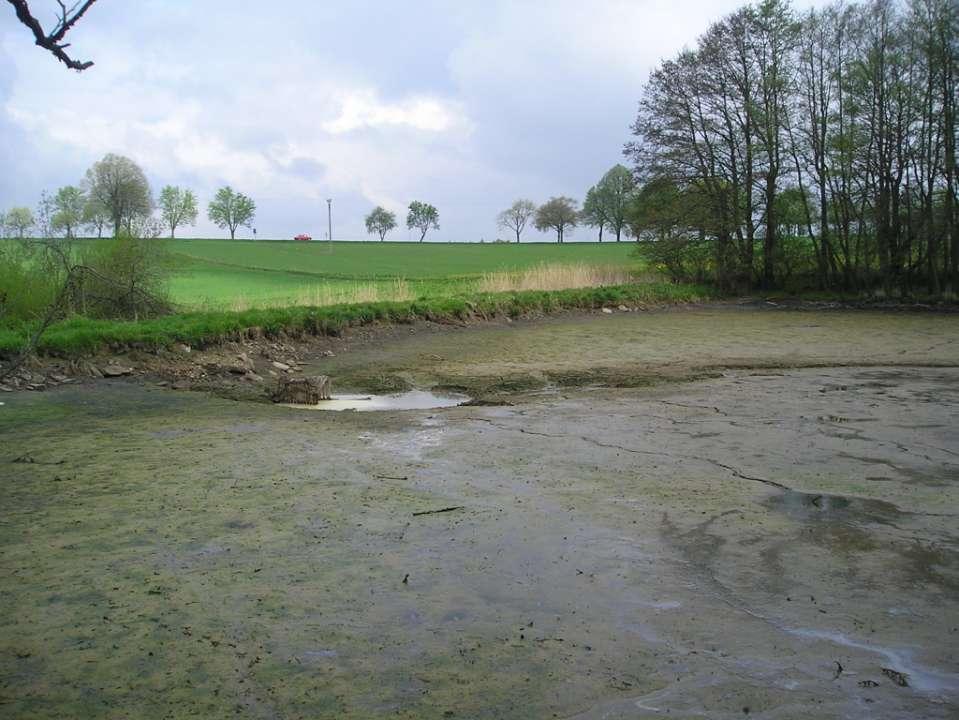 Rozhodujícím ukazatelem pro moţnost vyuţití sedimentů na zemědělské půdě je míra jejich kontaminace rizikovými prvky a rizikovými látkami.