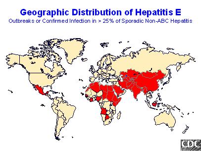 Virová hepatitida E RNA Calicivirus Přenos: - fekálně-orální - parenterální a vertikální přenos možný (virémie 39 112 dnů) Zdroj nákazy: - voda kontaminovaná fekáliemi nemocných - přenos kontaktem