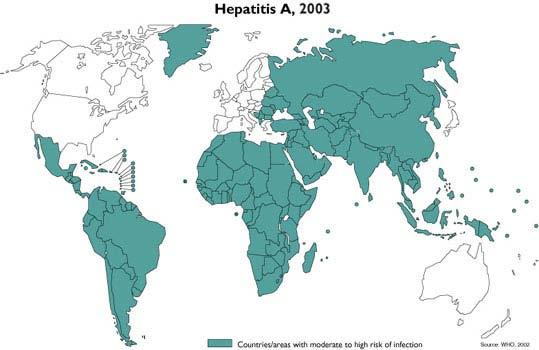 Virová hepatitida A RNA virus Picornaviridae Nákaza fekálně-orální cestou virus vylučován stolicí zejména v prodromální fázi parenterální přenos vzácný Zdroj nákazy: kontakt s infikovanými osobami