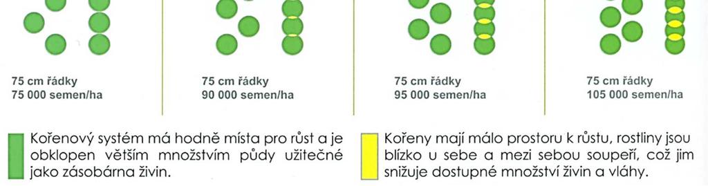 Pro řádkové setí jsou běžné pojezdové rychlosti kolem 20 km.h -1 a s tím souvisí i plošná výkonnost. 8.