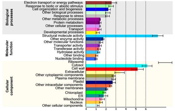 MECHANISMY Co testujeme?