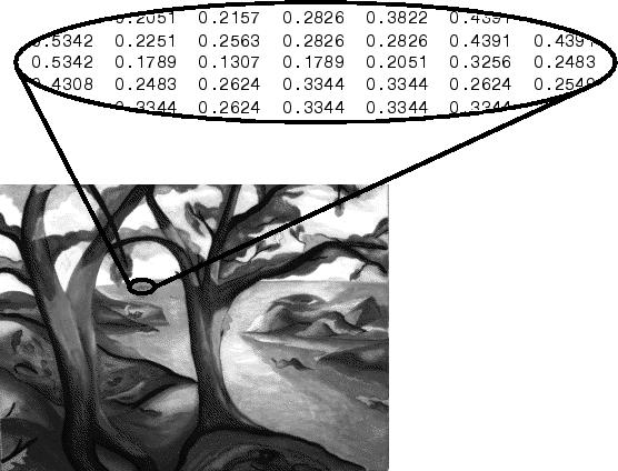 Import/export dat Import obrázků Matlab podporuje import tří typů rastrových obrázků Obrázky ve škále šedi (intensity images) Každý