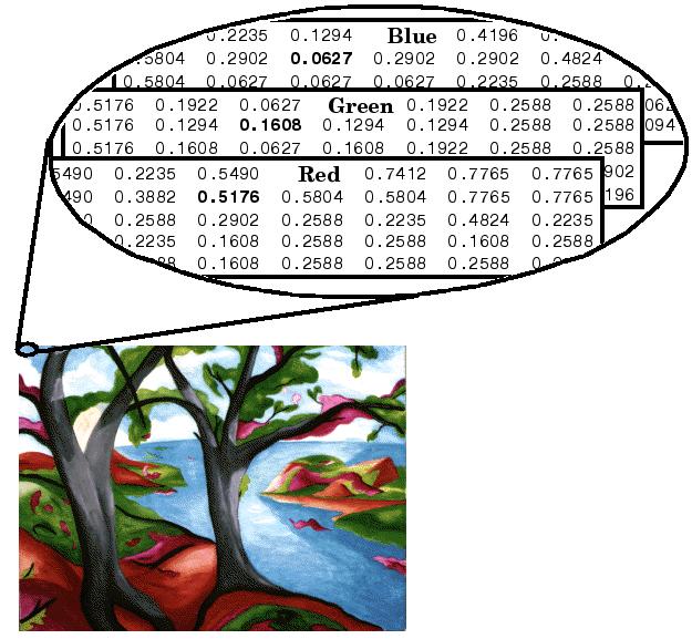 Import/export dat Import obrázků Matlab podporuje import tří typů rastrových obrázků RGB obrázky Barva každého pixelu se skládá ze tří složek červené, zelené a modré Jsou reprezentovány