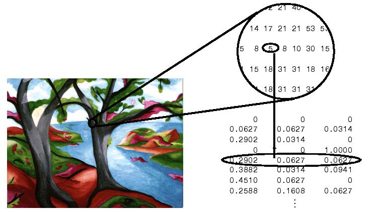 Import/export dat Import obrázků Matlab podporuje import tří typů rastrových obrázků Indexované Matice c 3 s hodnotami Red, Green, Blue, double mezi